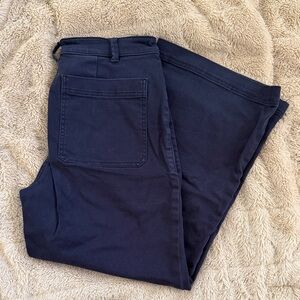 Everlane High Rise Wide Leg Crop Pant in Navy